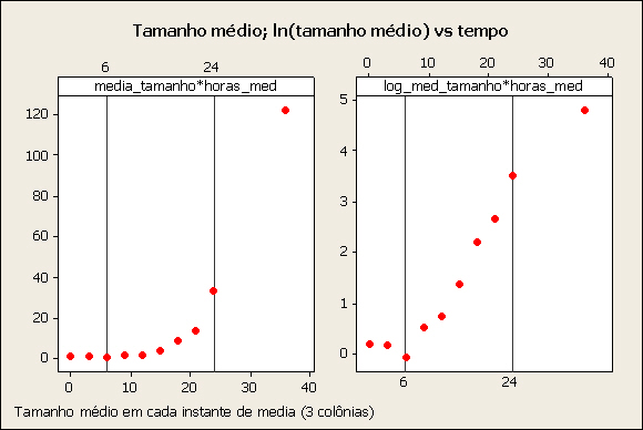 TM00001405.jpg